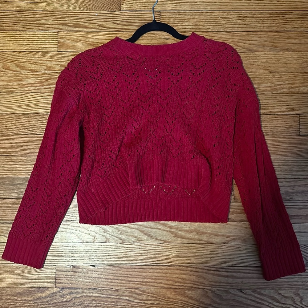 American Eagle Red Cropped Sweater
